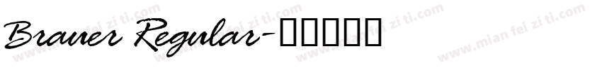 Brauer Regular字体转换